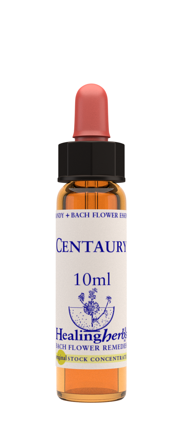 Healing Herbs Ltd Centaury