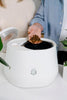 Lomi Smart Waste Kitchen Composter