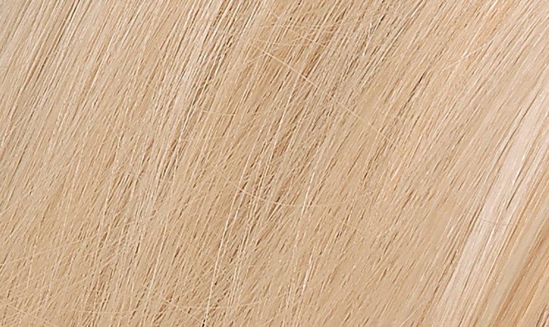 Naturtint 10N Light Dawn Blonde