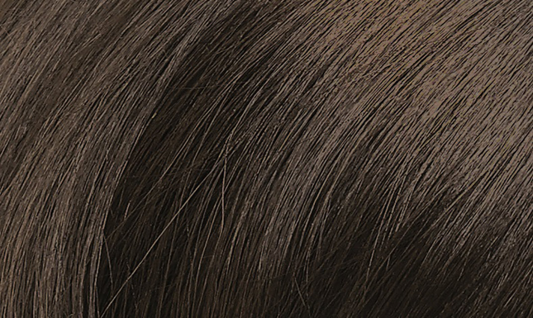 Naturtint 5N Light Chestnut Brown