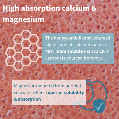 Igennus Calcium & Magnesium Musculoskeletal Support 60's