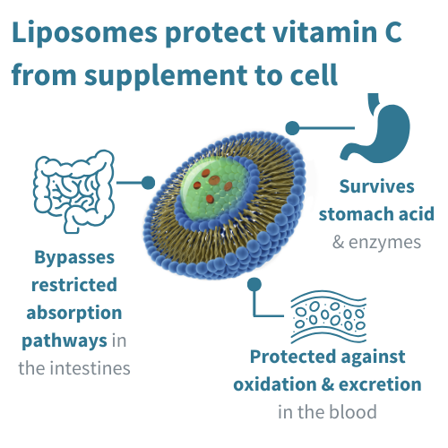 Igennus Liposomal Vitamin C 1000mg & Zinc 450ml