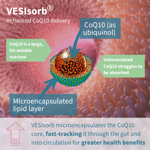 Igennus VESIsorb Ubiquinol-QH 30s