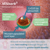 Igennus VESIsorb Ubiquinol-QH 30s