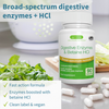 Igennus Digestive Enzymes & Betaine HCl 90s