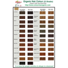 Radico Organic Hair Colour Copper Brown 100g