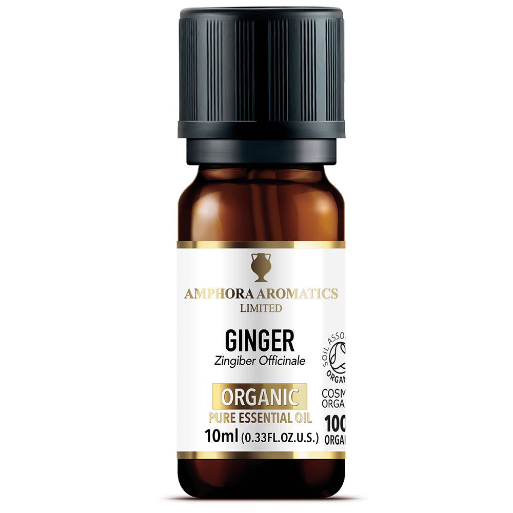 Amphora Aromatics Ginger Organic Pure Essential Oil 10ml