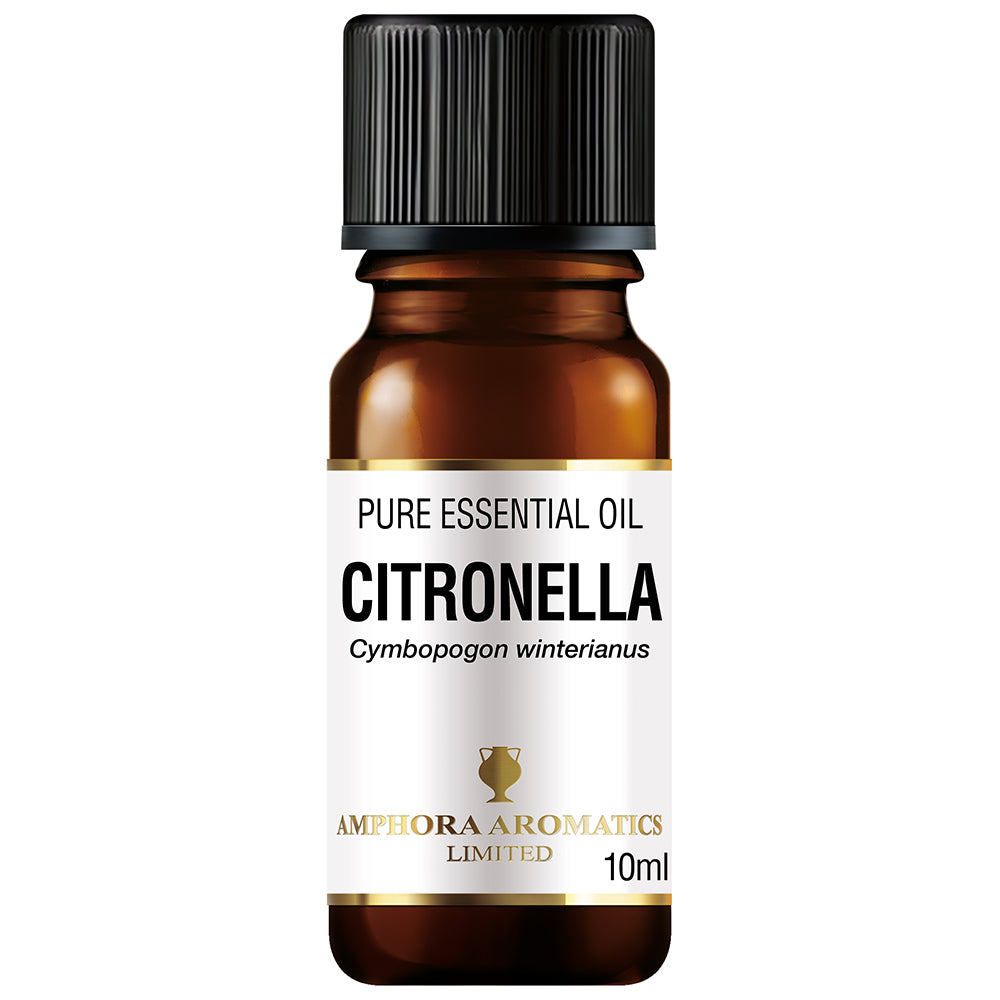 Amphora Aromatics Citronella Organic Pure Essential Oil 10ml