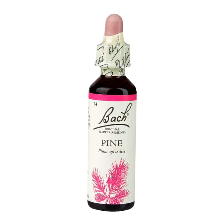 Bach Flower Remedies Pine 20ml