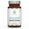 Cytoplan Antioxidant plus CoQ10 60's