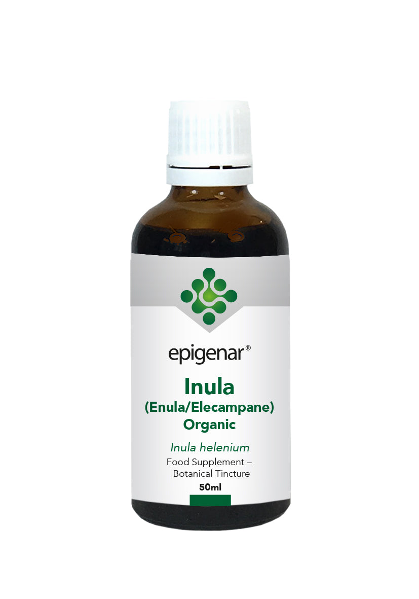Epigenar Inula (Enula/Elecampane) Organic Tincture 50ml