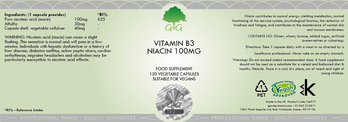 G&G Vitamins Vitamin B3 Niacin 100mg 120's
