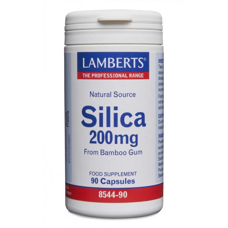 Lamberts Silica 200mg 90's