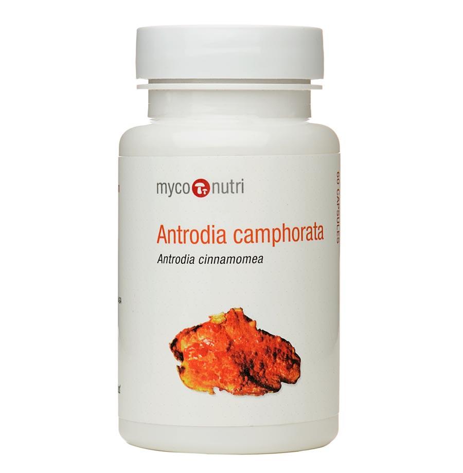 MycoNutri Antrodia Camphorata Capsules 60s