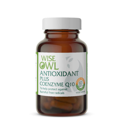 Wise Owl Antioxidant Plus Coenzyme Q10 60's