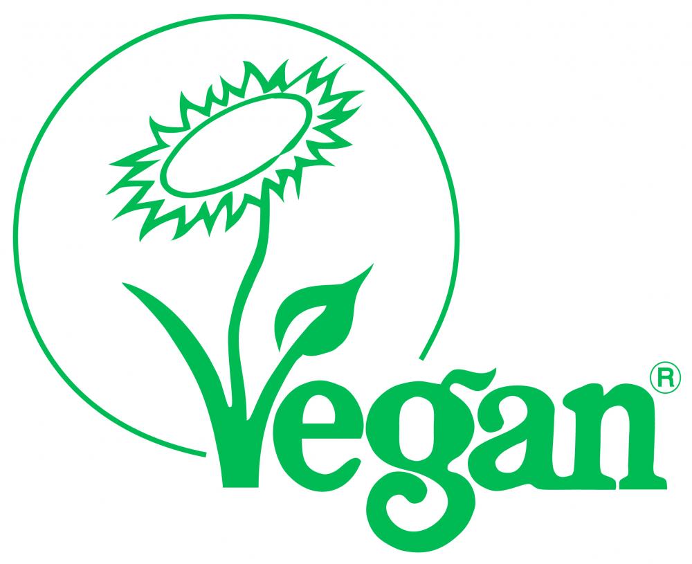 Vivo Life Vegan Protein Vanilla 900g