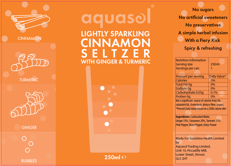 AquaSol Cinnamon Seltzer 250ml