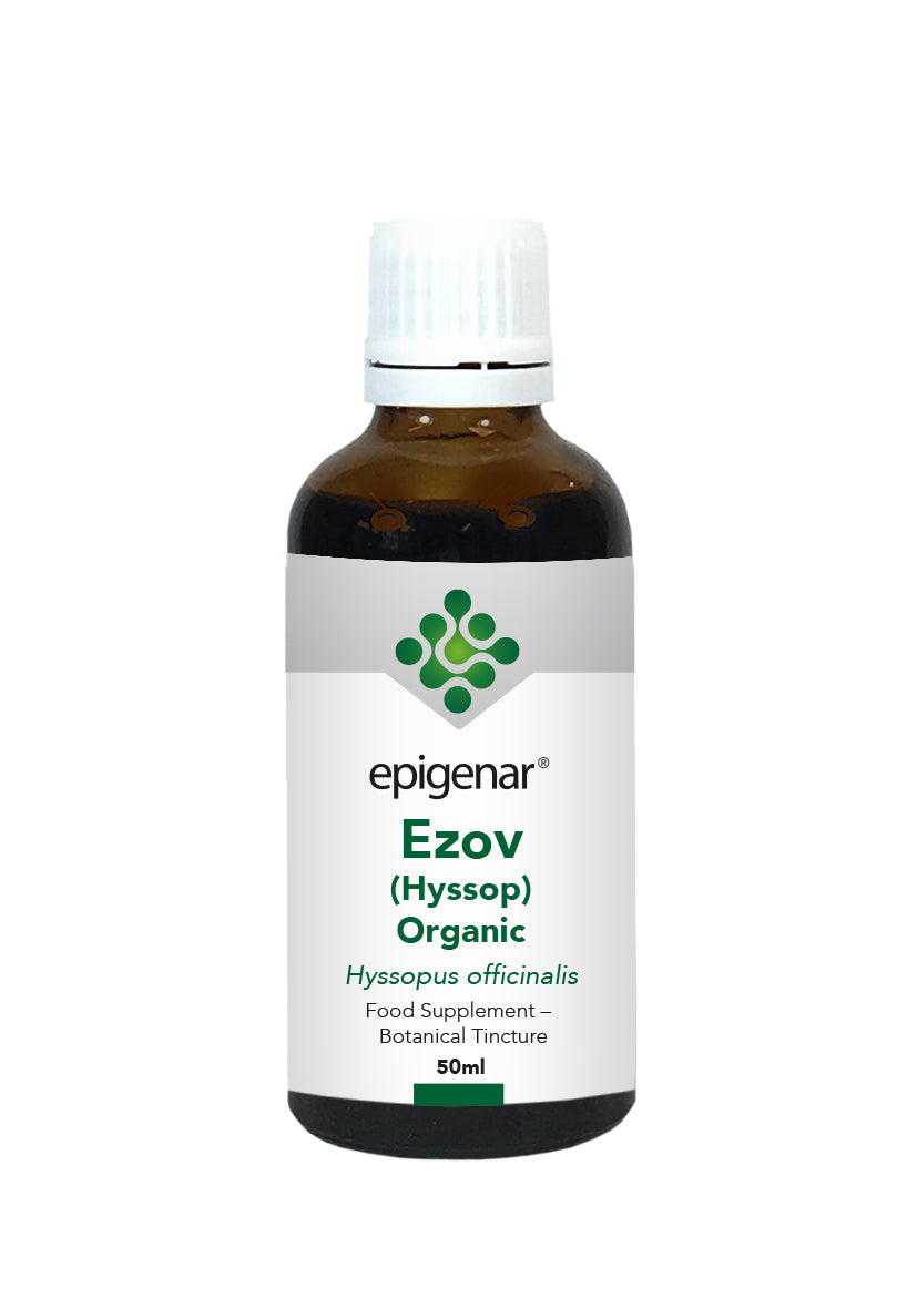 Epigenar Ezov (Hyssop) Organic Tincture 50ml