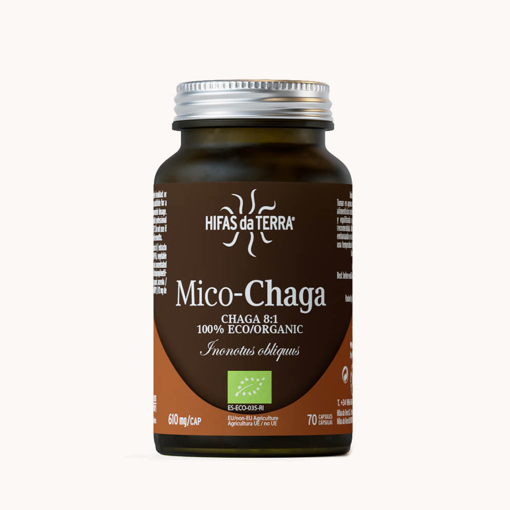 Hifas da Terra Mico-Chaga 70's