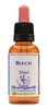 Healing Herbs Ltd Beech