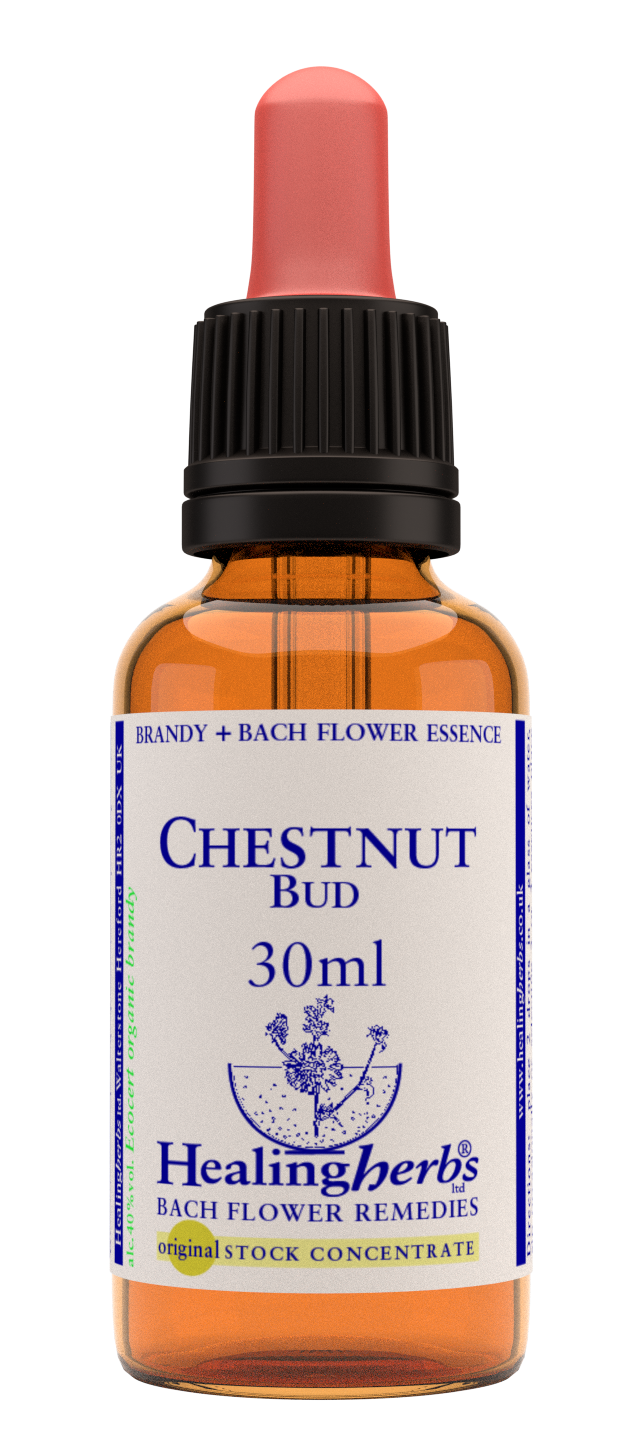 Healing Herbs Ltd Chestnut Bud