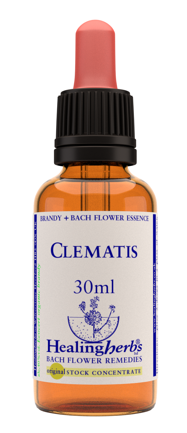 Healing Herbs Ltd Clematis