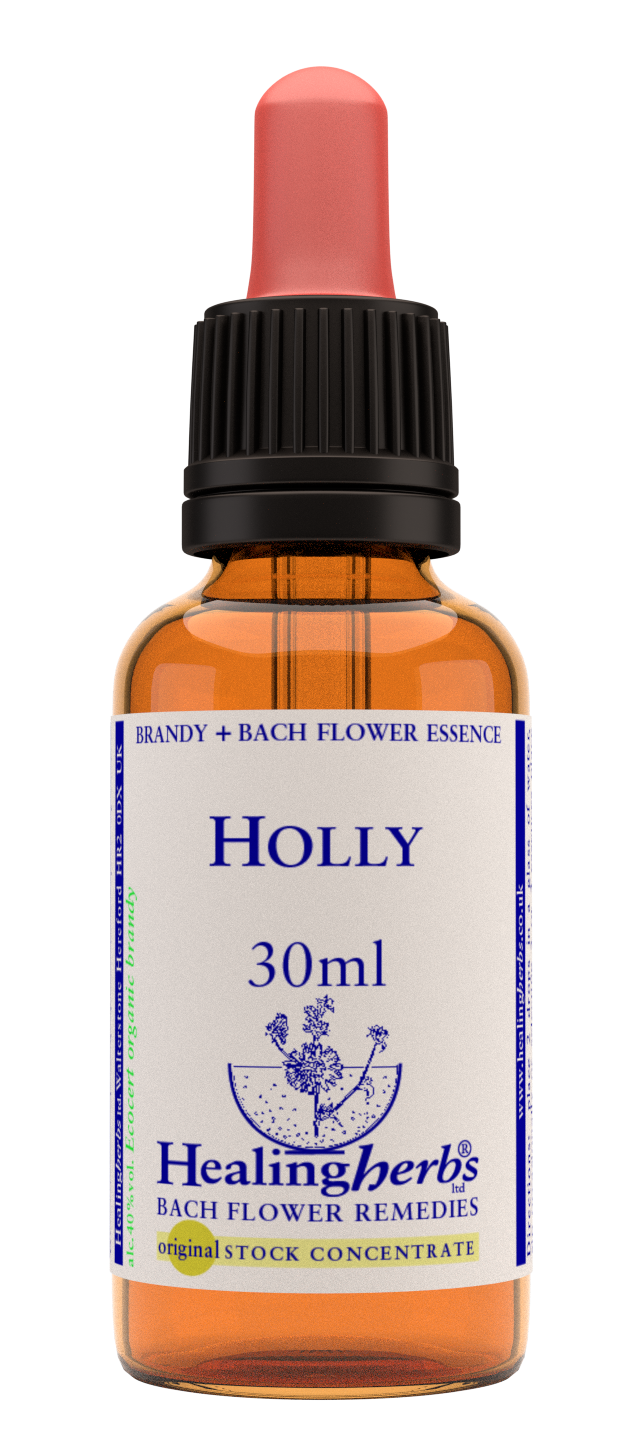 Healing Herbs Ltd Holly