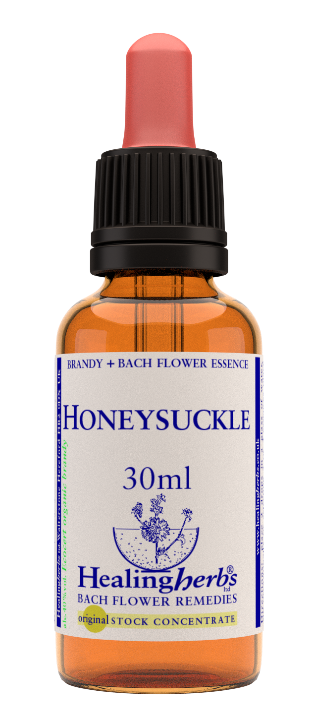 Healing Herbs Ltd Honeysuckle