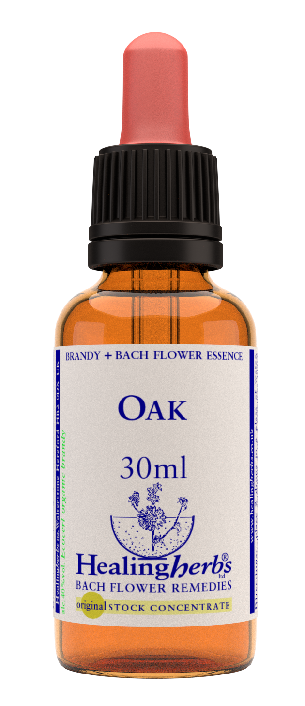 Healing Herbs Ltd Oak