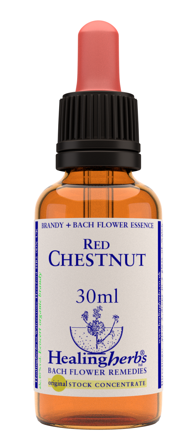 Healing Herbs Ltd Red Chestnut