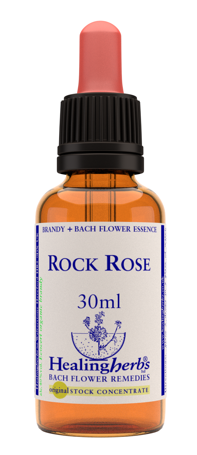Healing Herbs Ltd Rock Rose