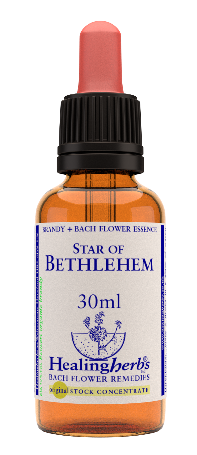 Healing Herbs Ltd Star of Bethlehem