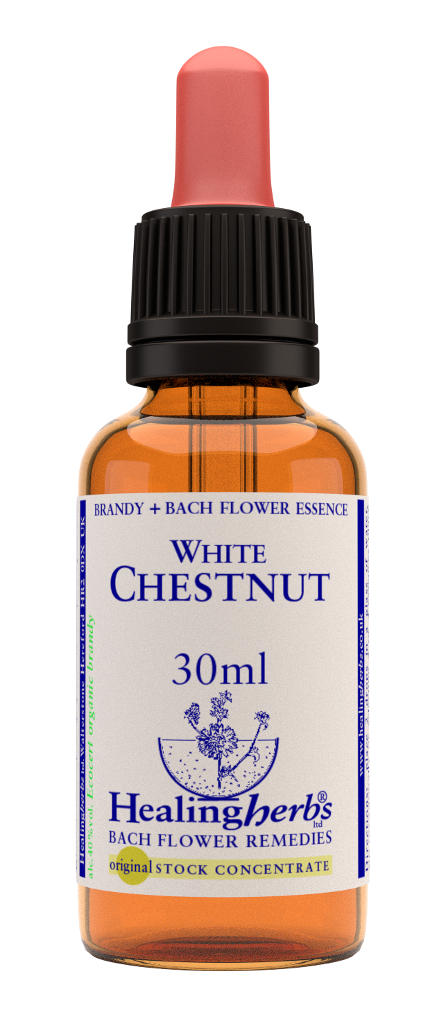 Healing Herbs Ltd White Chestnut