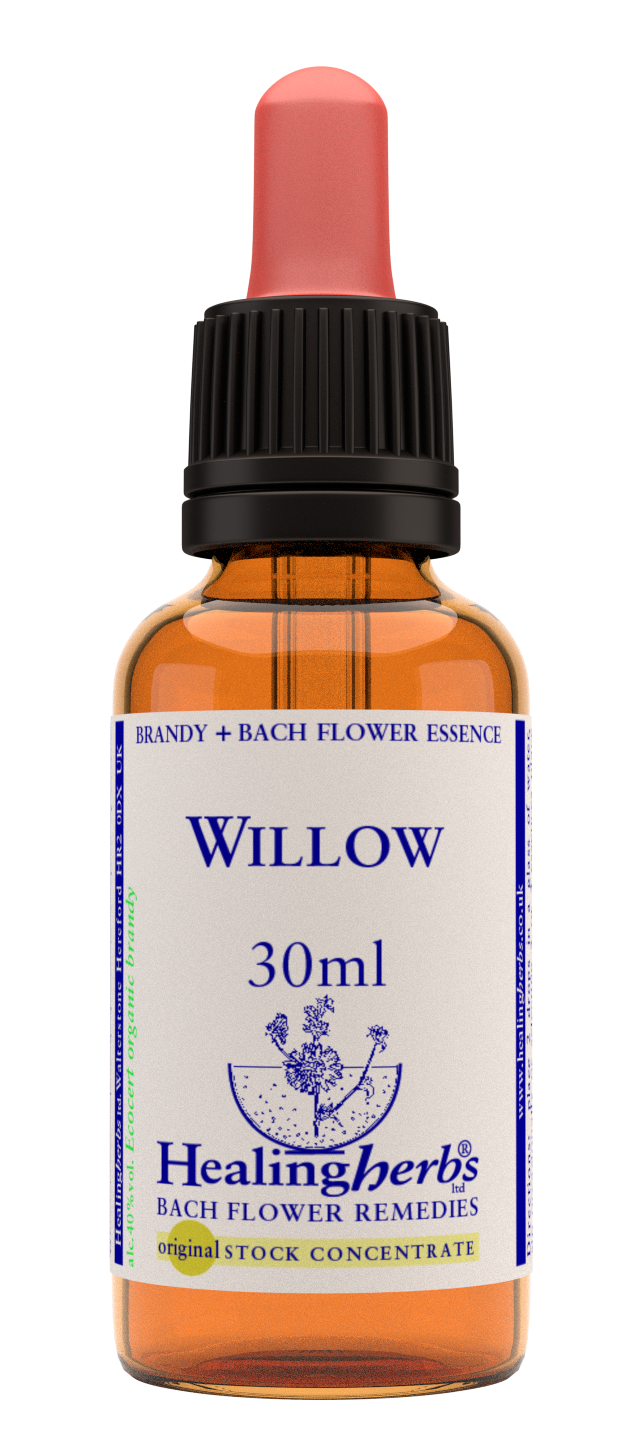 Healing Herbs Ltd Willow