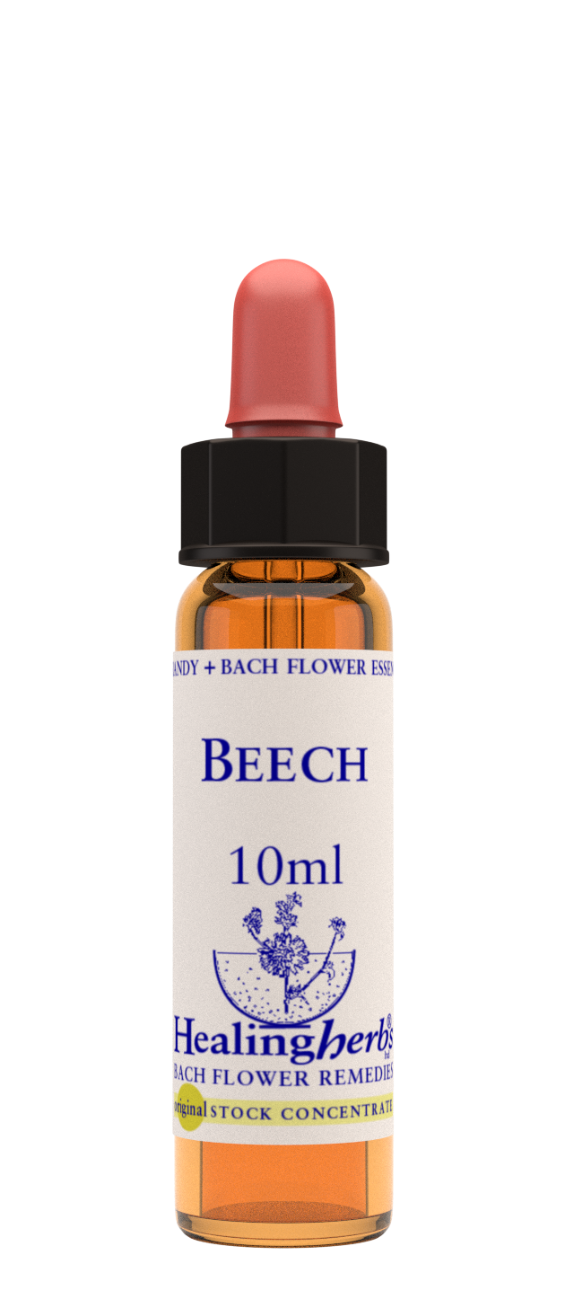 Healing Herbs Ltd Beech