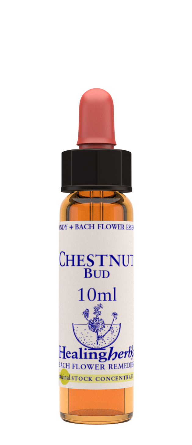 Healing Herbs Ltd Chestnut Bud