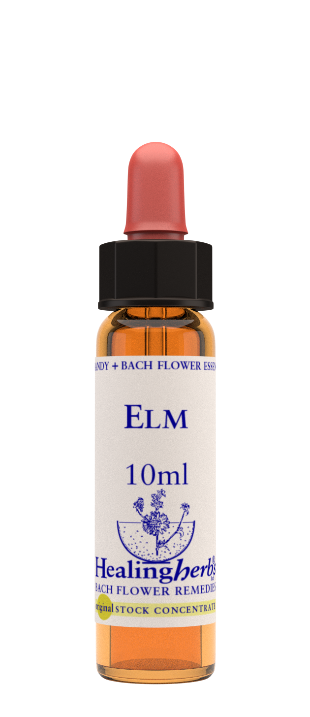 Healing Herbs Ltd Elm