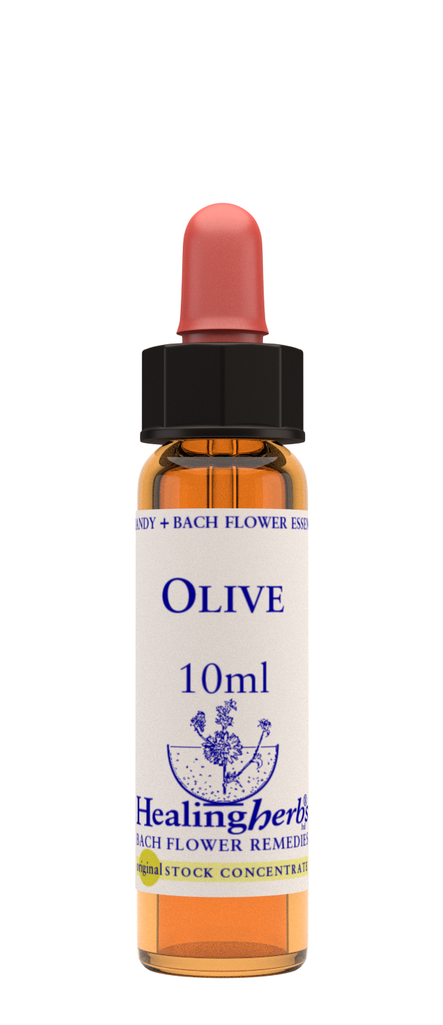 Healing Herbs Ltd Olive