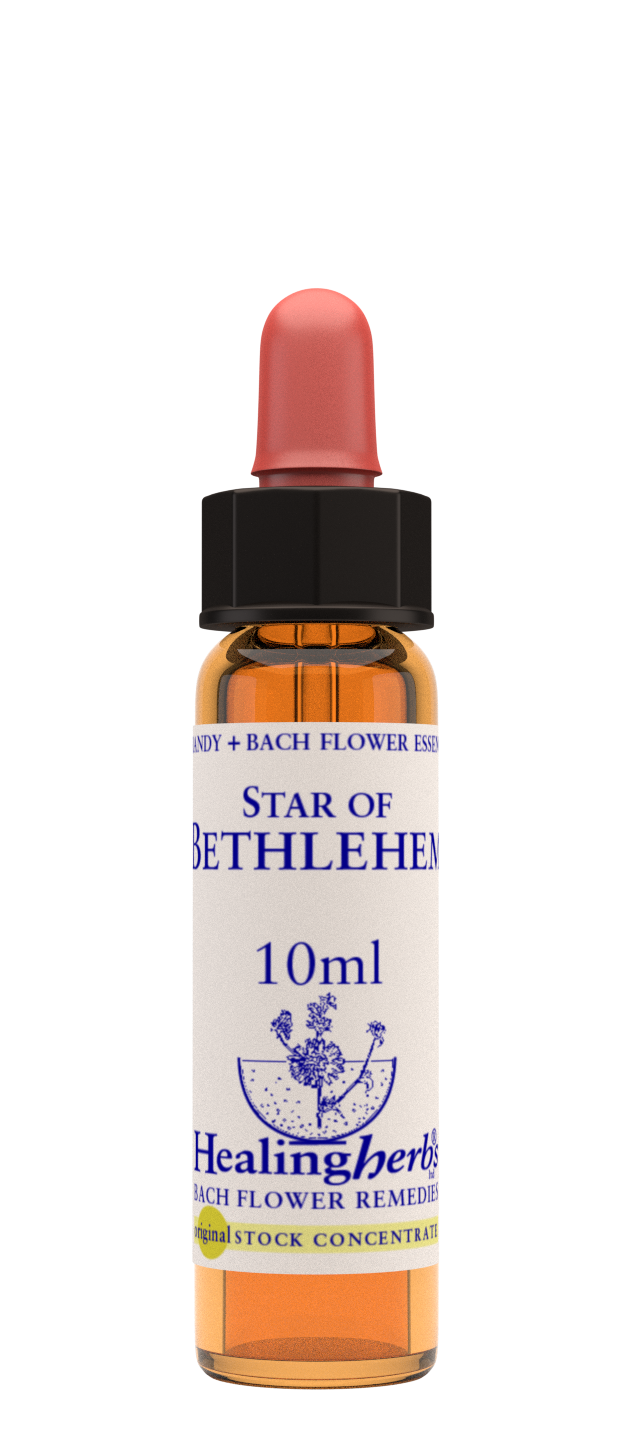 Healing Herbs Ltd Star of Bethlehem
