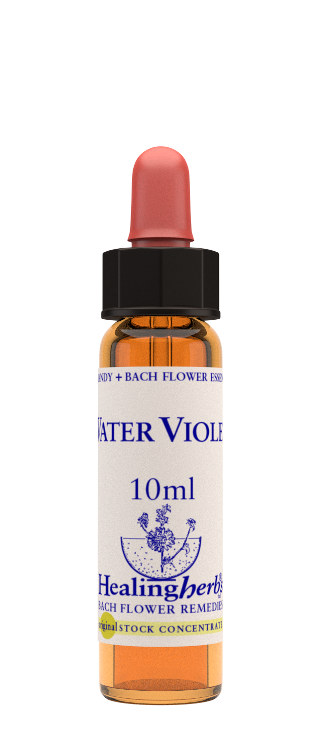 Healing Herbs Ltd Water Violet