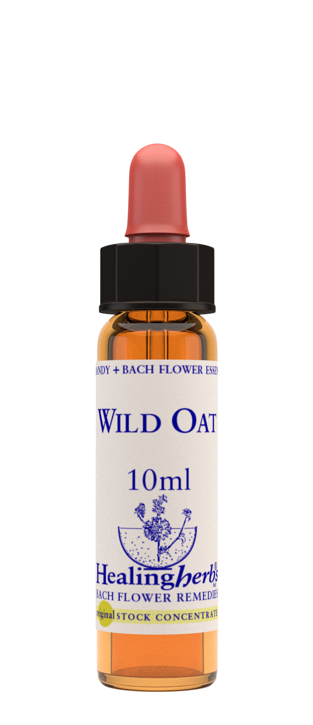 Healing Herbs Ltd Wild Oat