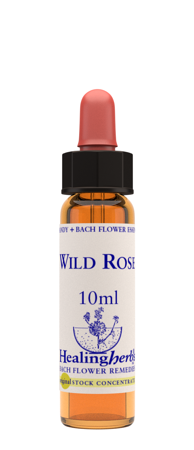Healing Herbs Ltd Wild Rose