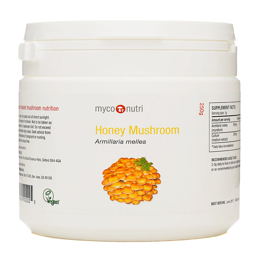 MycoNutri Honey Mushroom Powder 250g