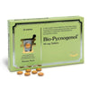 Pharma Nord Bio-Pycnogenol 40mg 30's - Approved Vitamins
