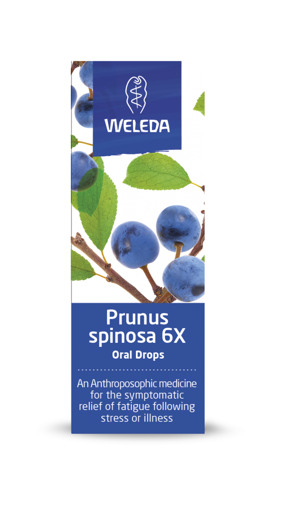 Weleda Prunus Spinosa 6X Oral Drops 25ml